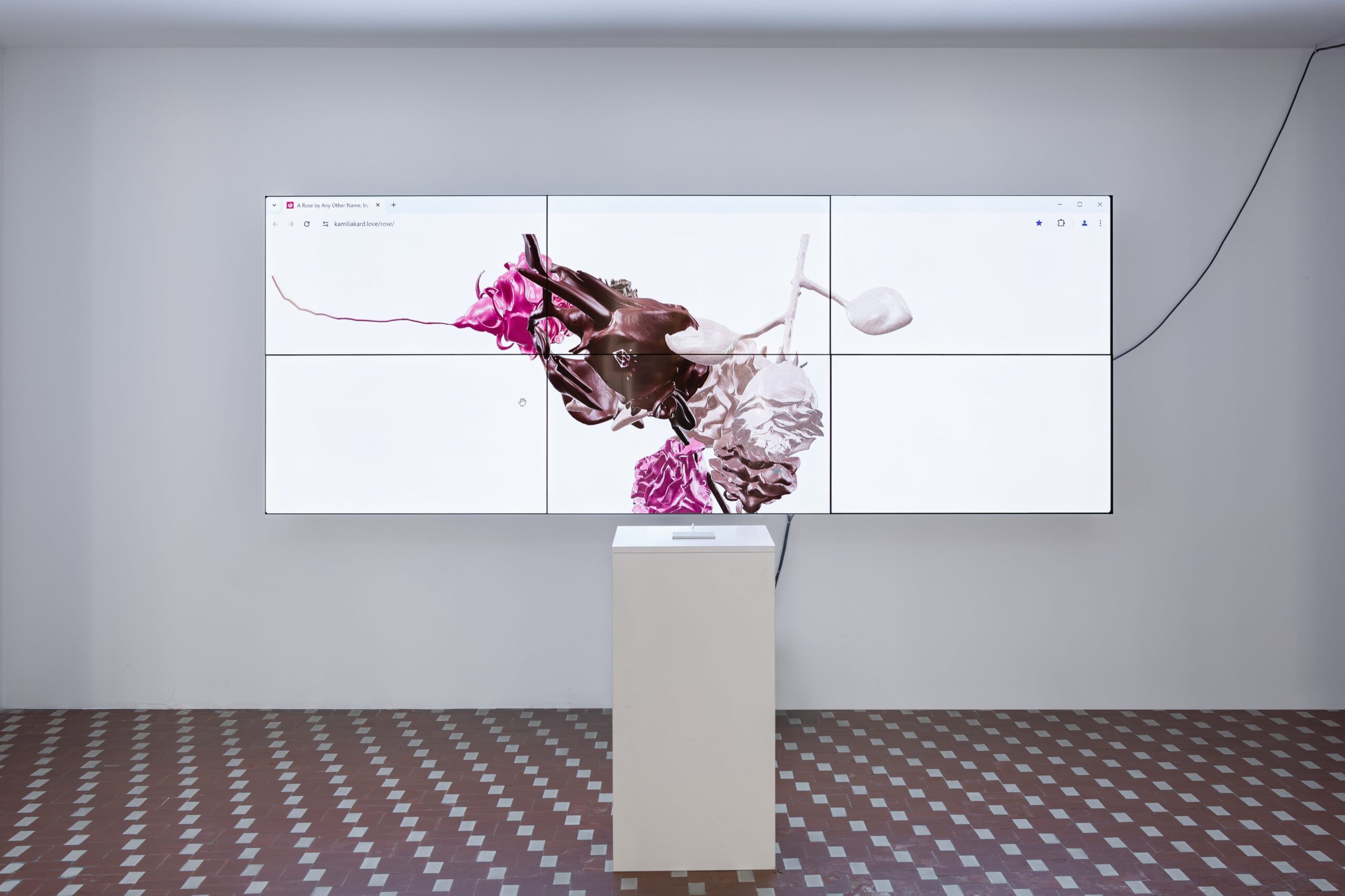 A Rose by Any Other Name, installation view at Spazio Vitale, Verona 2024-min